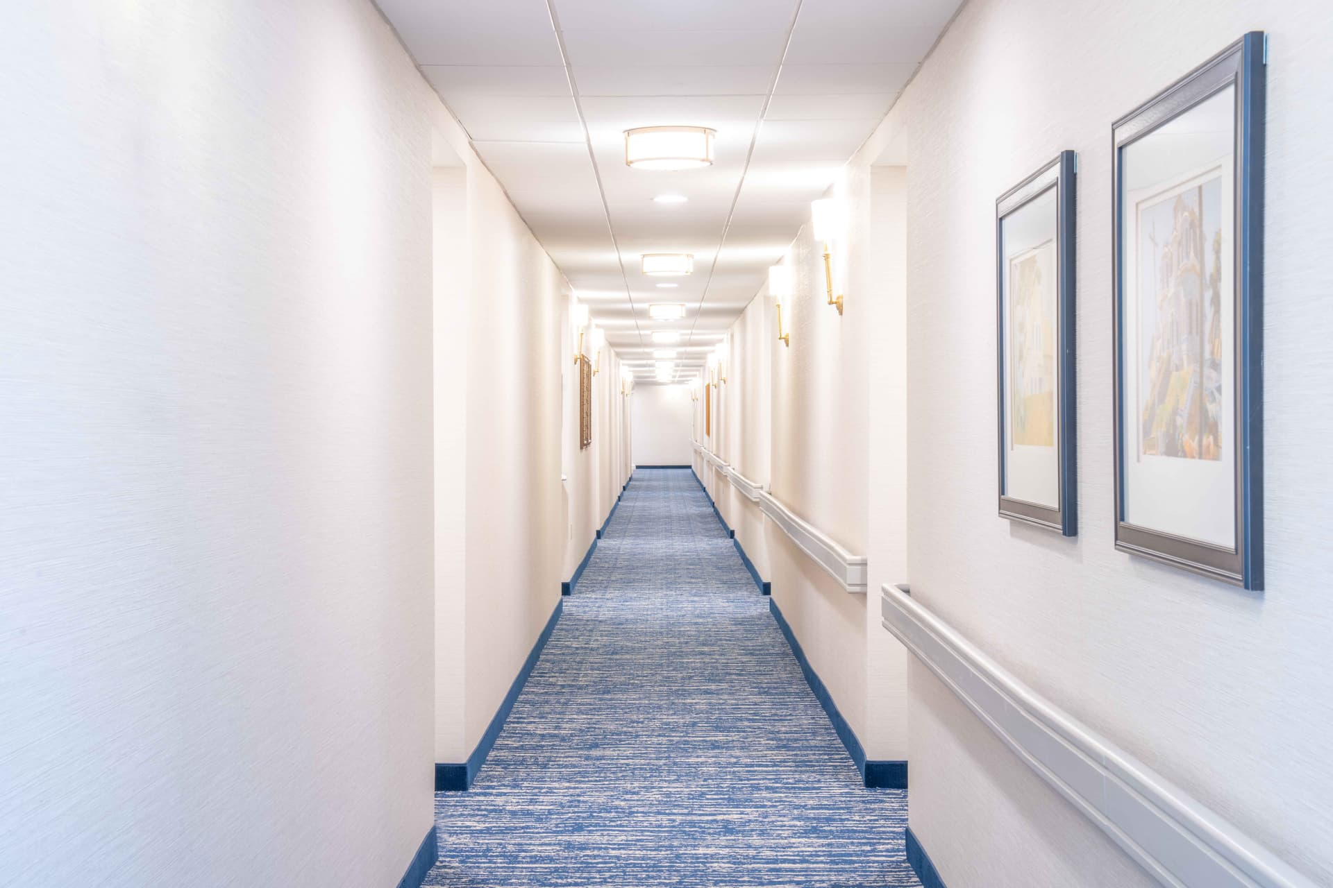 Colonnades Charlottesville SS 09 (2)