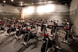 MartinHorn-Edge-0006