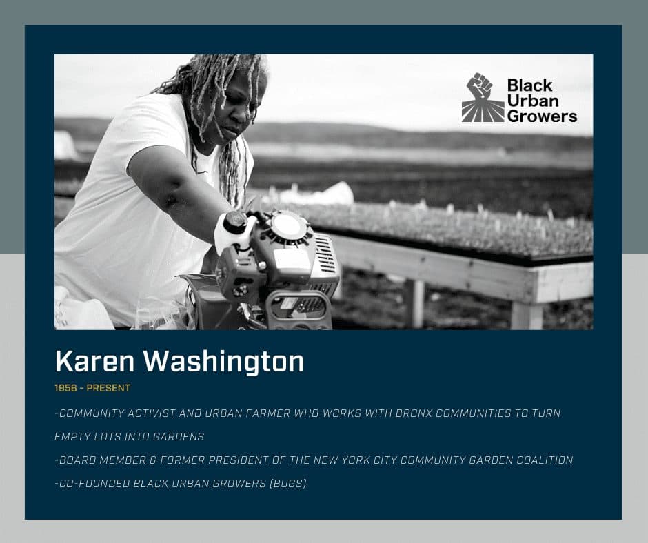 Black-History-Month-12