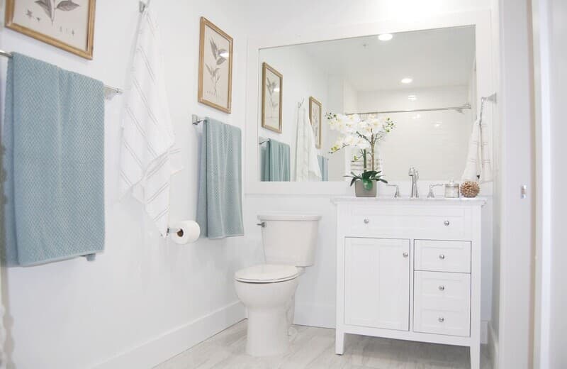 101 Avon Street Apartments 01