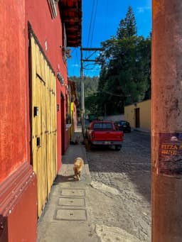 BGF Guatemala Trip 2024 Blog Article Selects-25