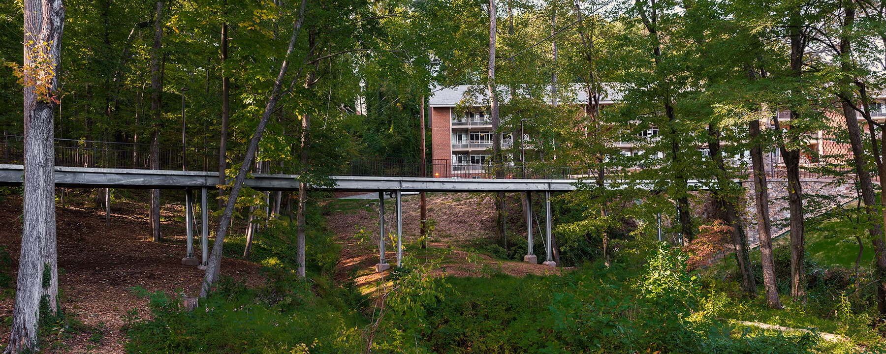 UVA-Pedestrian-Bridge-0000