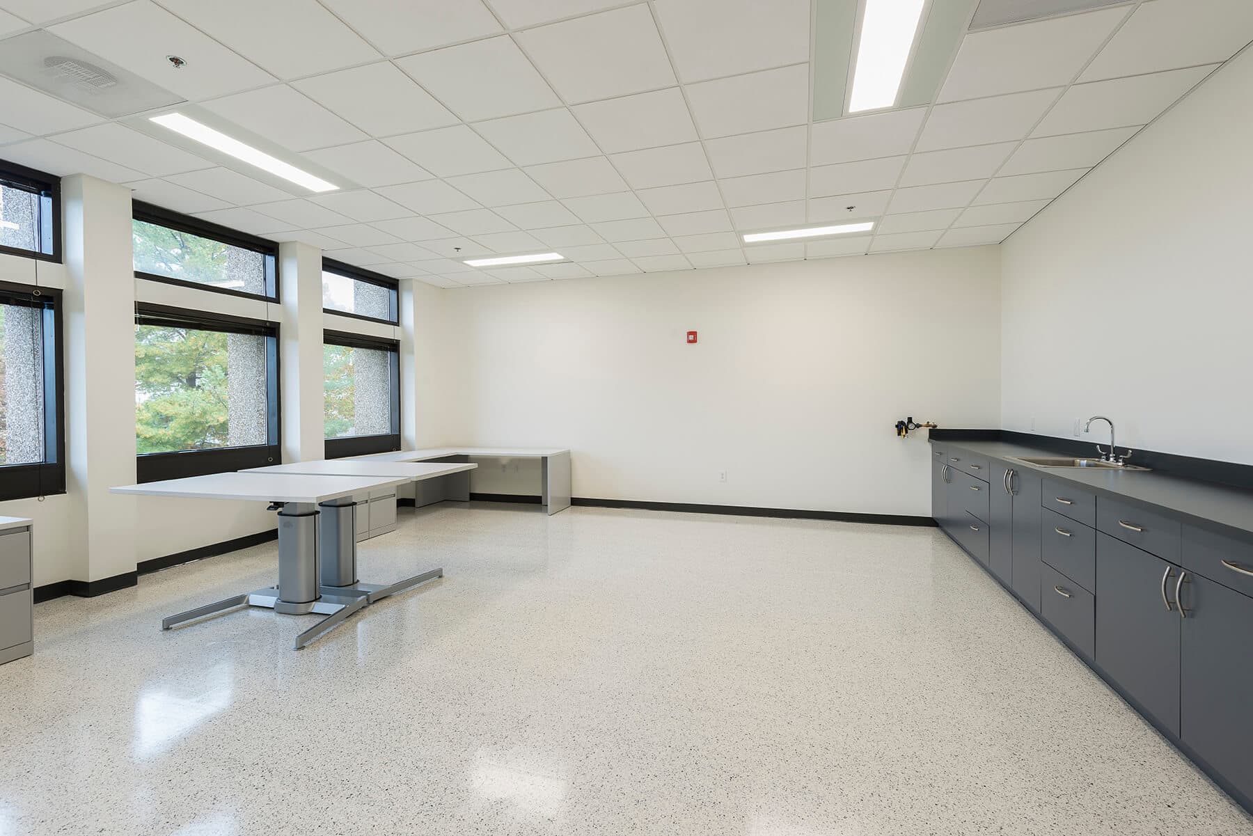 Martin-and-Horn-GE-2014-0294