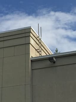 UVA-Ivy-Stacks-Martin-Horn-6